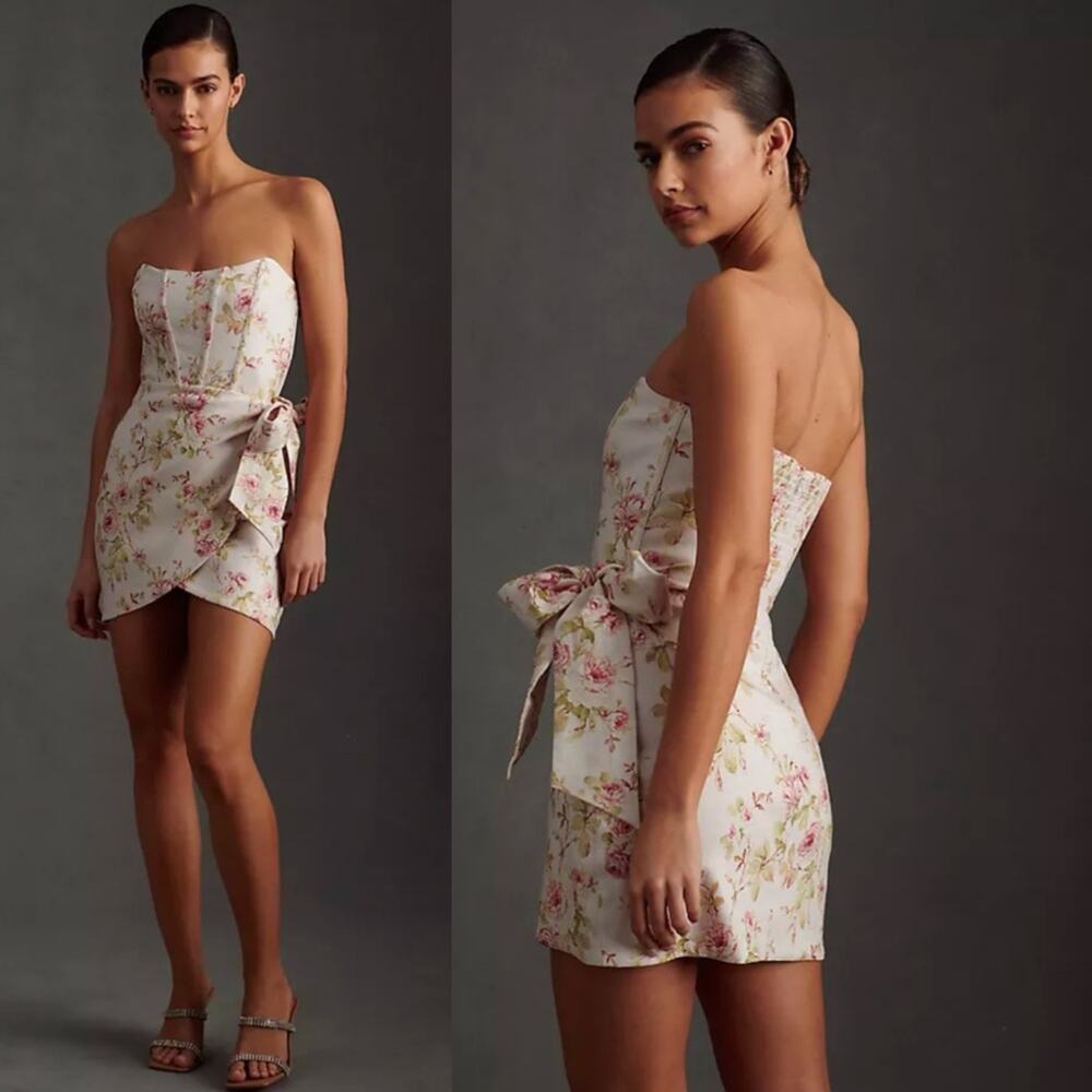 NWT V. Chapman Nasturtium Corset Dress  Size 10 Carmel Valley Rose Floral